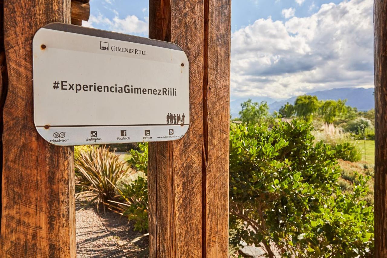 Casa De Huespedes Bodega Gimenez Riili Hotel Los Sauces  Exterior foto